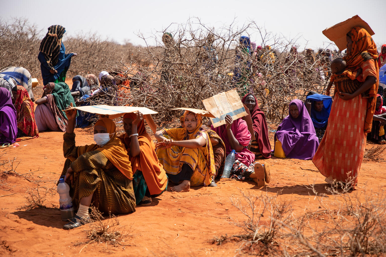 In Hegalle, Somali region in Ethiopia, thousands of men, women and children are queuing in the sweltering heat waiting to be registered and receive humanitarian aid.