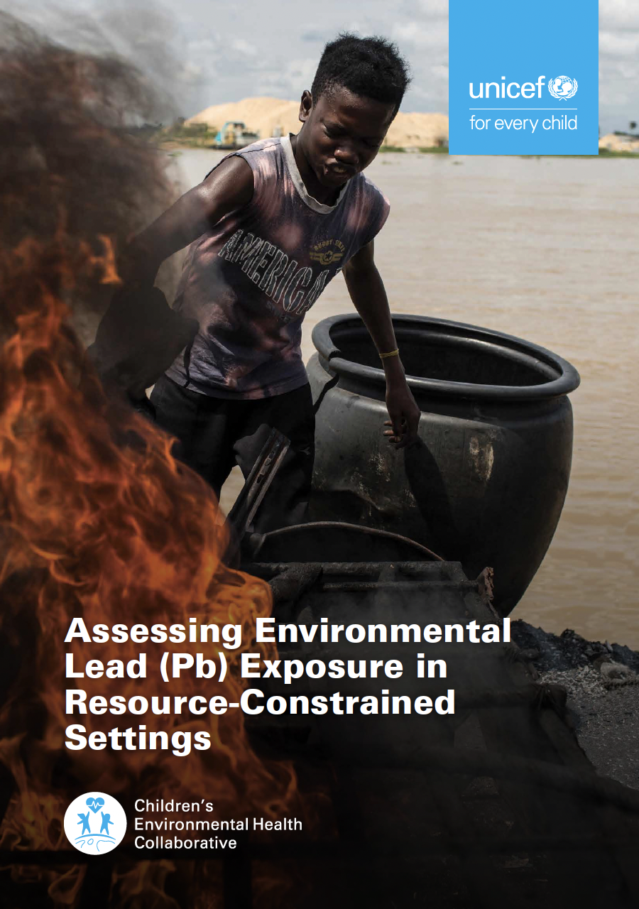 Assessing Environmental Lead (Pb) Exposure in Resource-Constrained Settings 