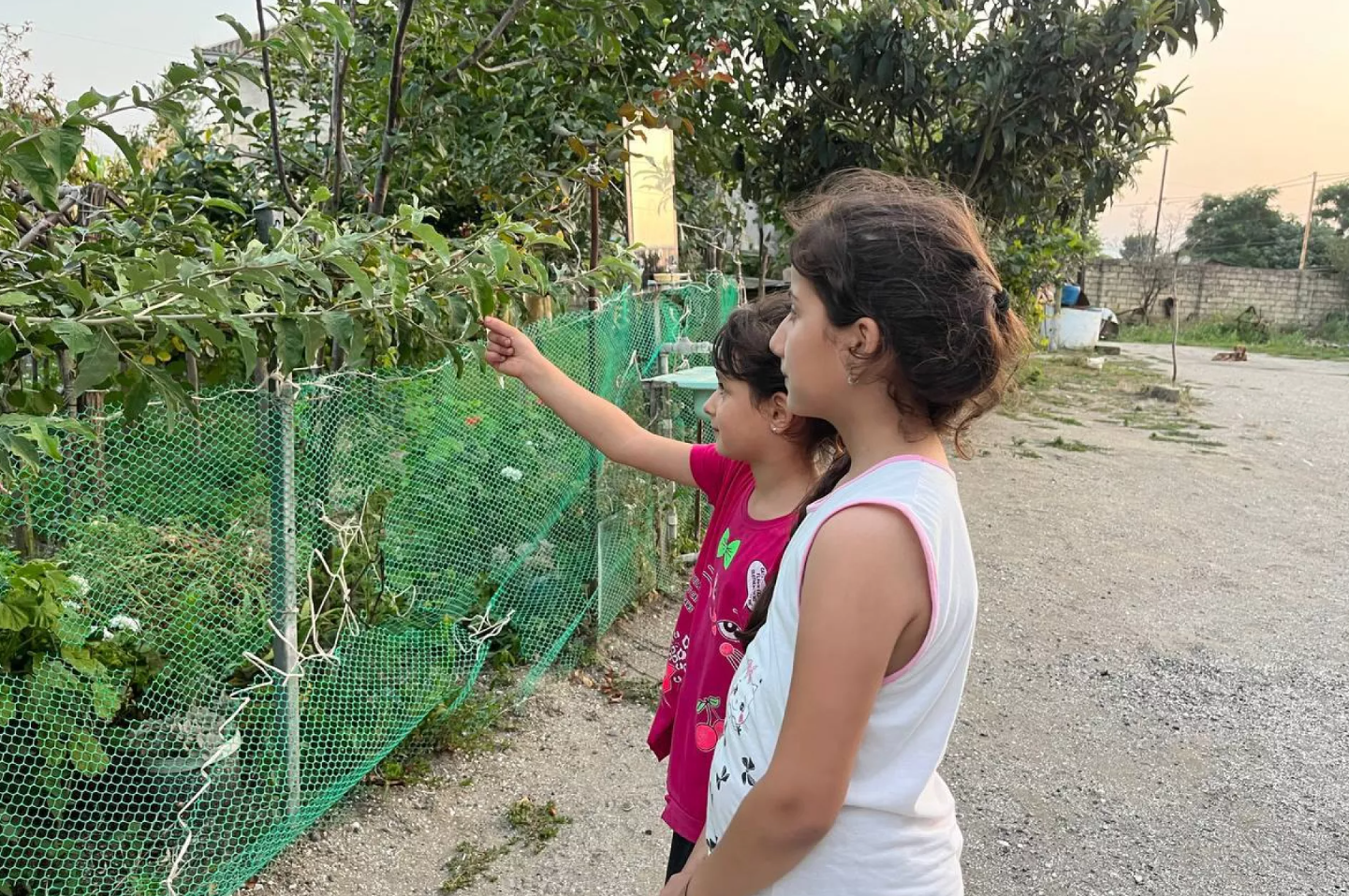 Children’s environmental health assessment in Azerbaijan cover image