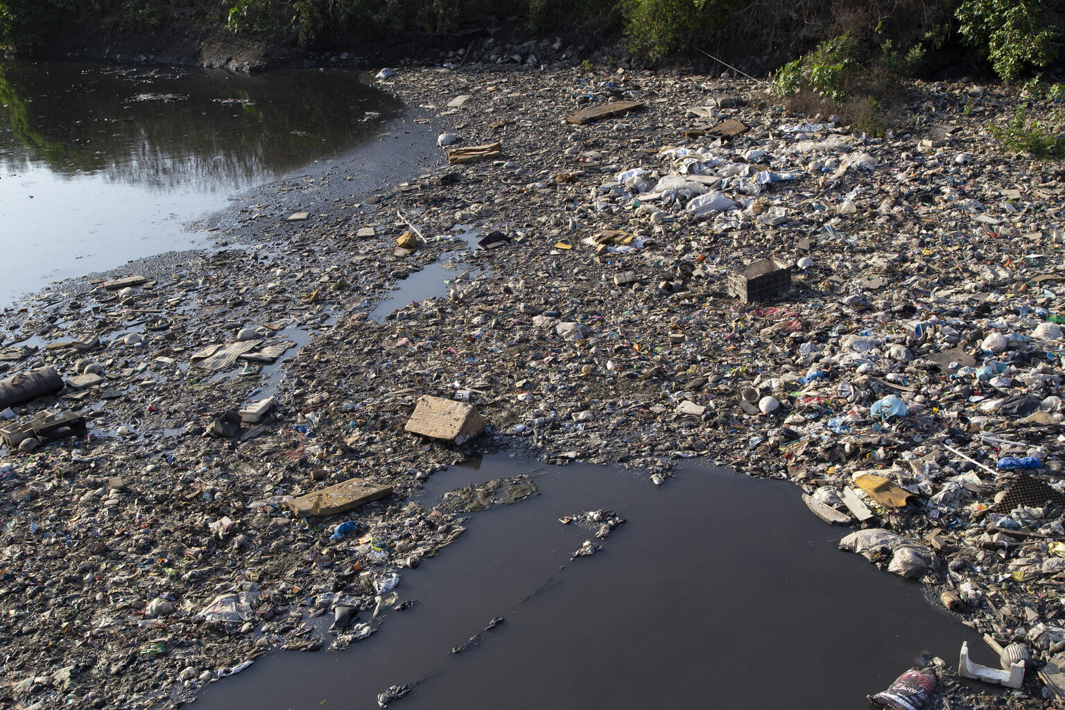 On 1 April 2022 in Mumbai, India, plastic bottles, and garbage float in the in Mithi river near the Bandra Kurla complex (BKC).